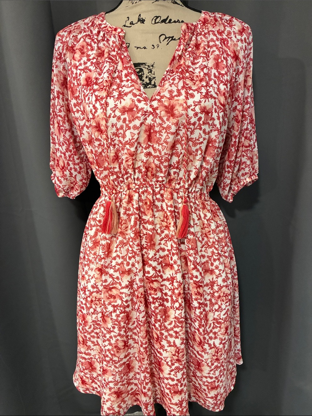 BB Dakota Red and White Floral Tie-Front Midi Dress